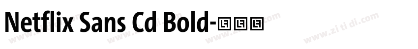 Netflix Sans Cd Bold字体转换
